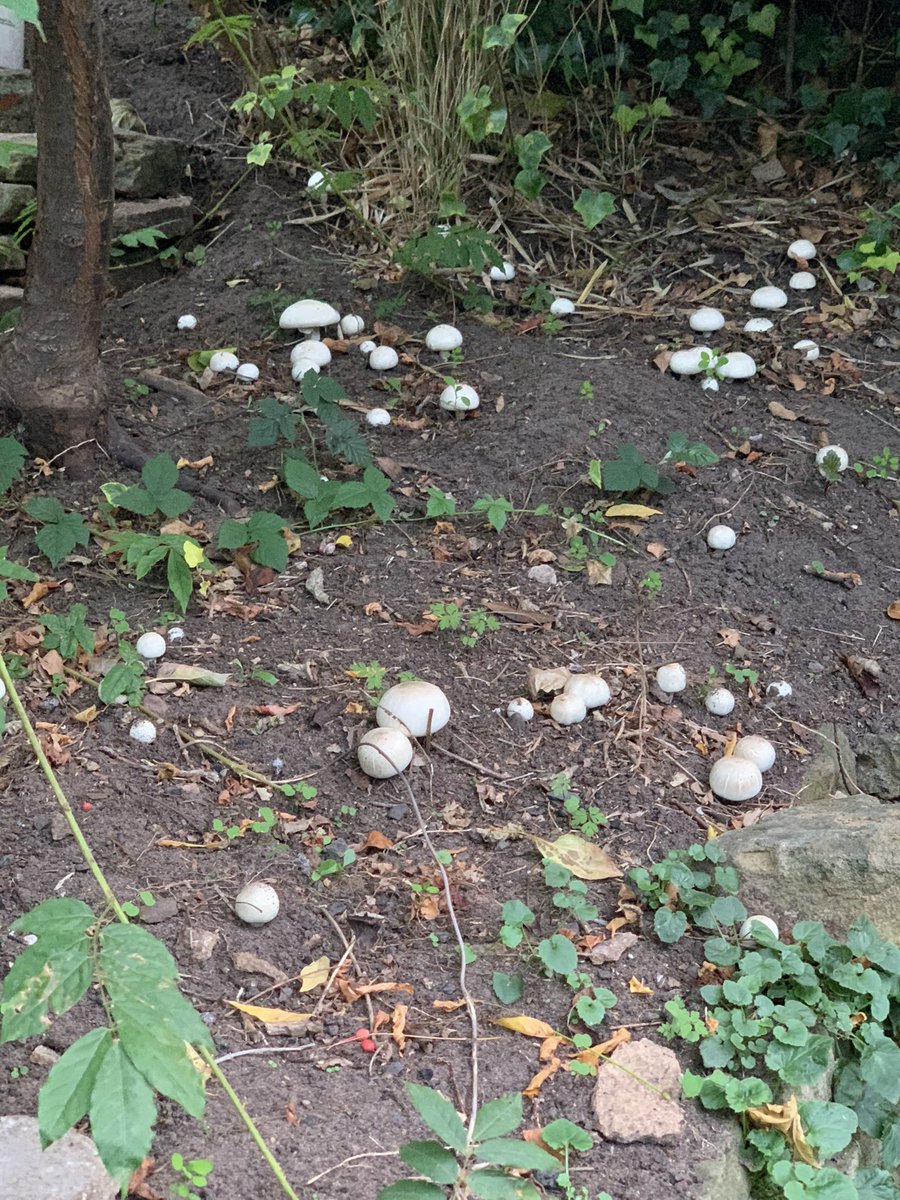 Rich Hood tweet media