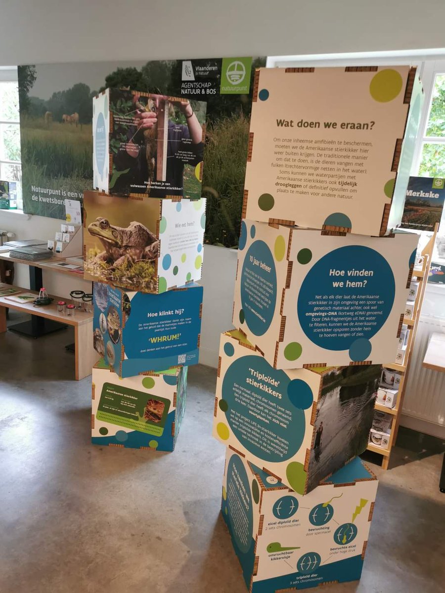 Onze expo staat momenteel in De Klapekster, bezoekerscentrum van Vallei van het Merkske. Ga er zeker eens langs #natuurpuntmarkvallei #natuurpunt #deklapekster #life3nstierkikker #lifeprogram