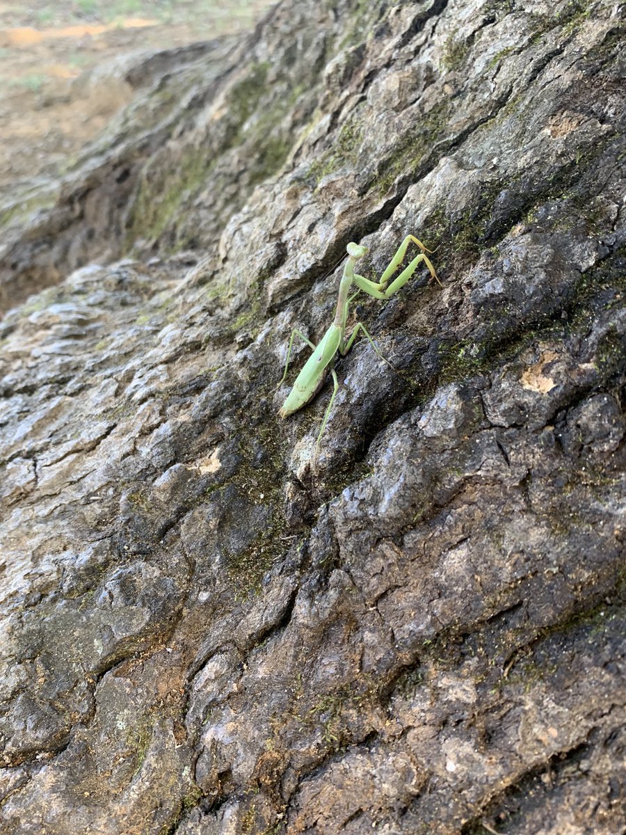 ElizabethOKeefe tweet media