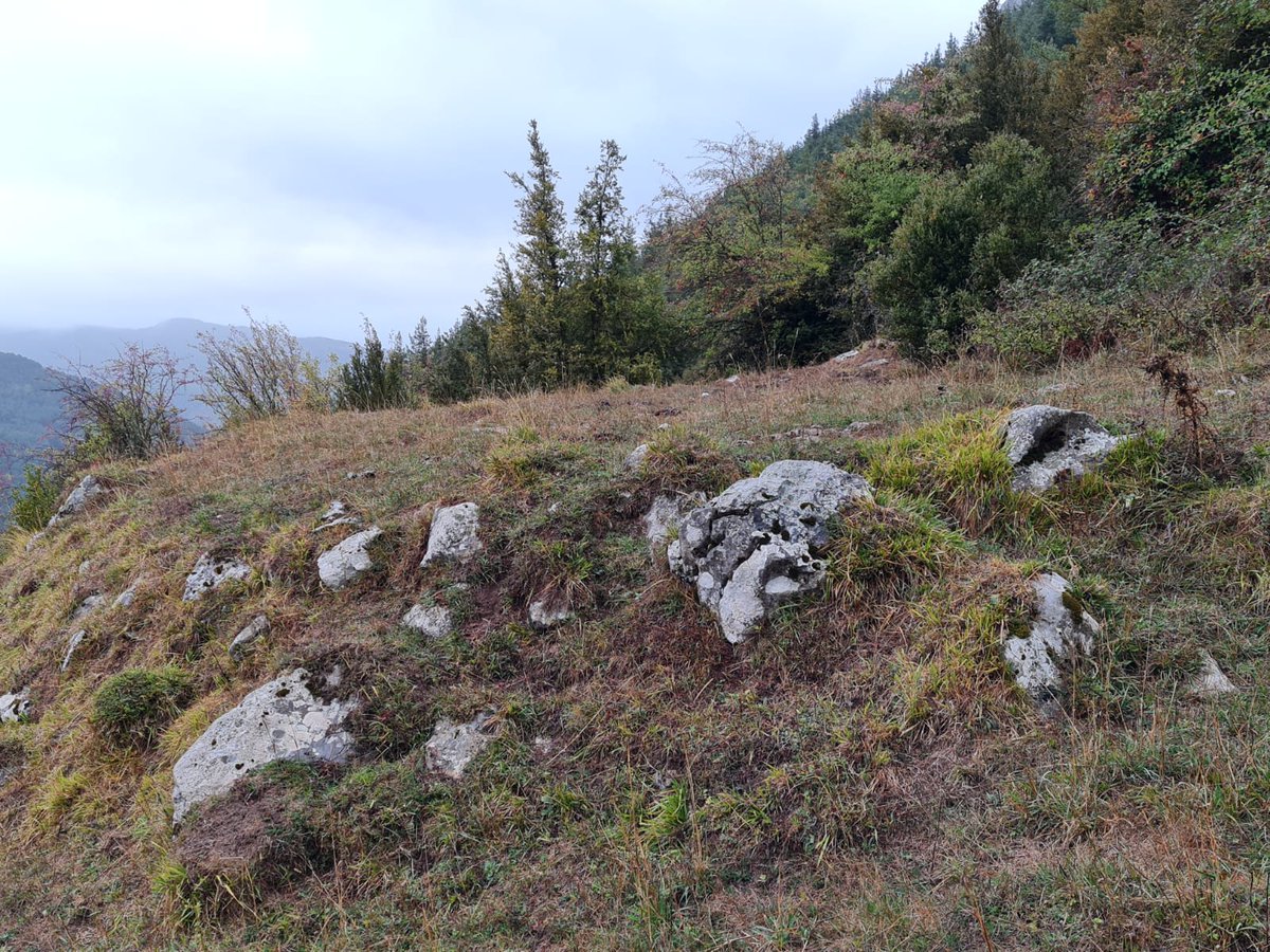 Fueron eras en las que se sembraba, se trillaba, se aventaba la parva... ubicadas en lugares que hoy cuesta imaginar. Esta está en la falda de Ezkaurre. Son tiempos que se nos van, cuya memoria se esfuma en silencio.
Isaba (Pirineo navarro)