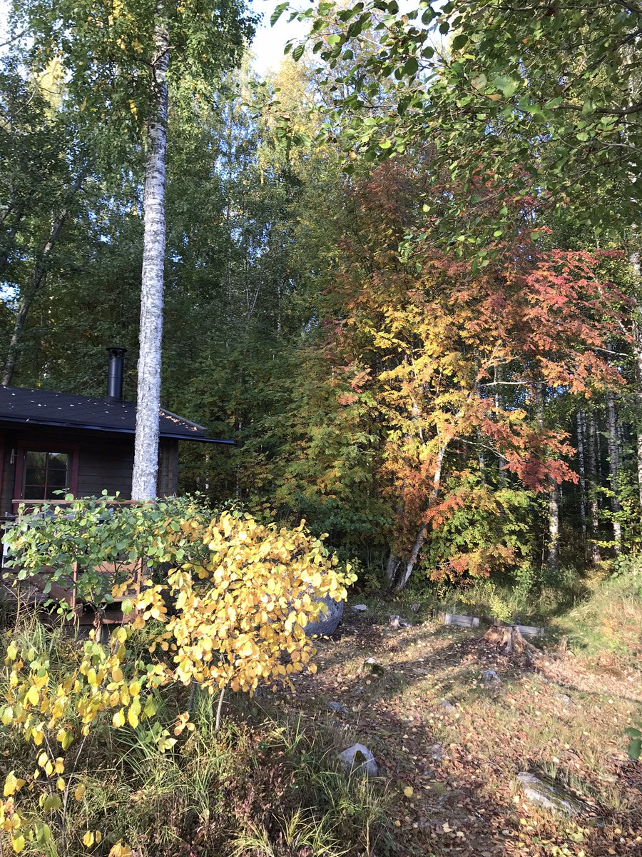 s_erja's tweet photo. Syksyiseen aikaan sen hehkuvaan taikaan mä saavuin taas❤️ mökki https://t.co/BgTTrzcDQt