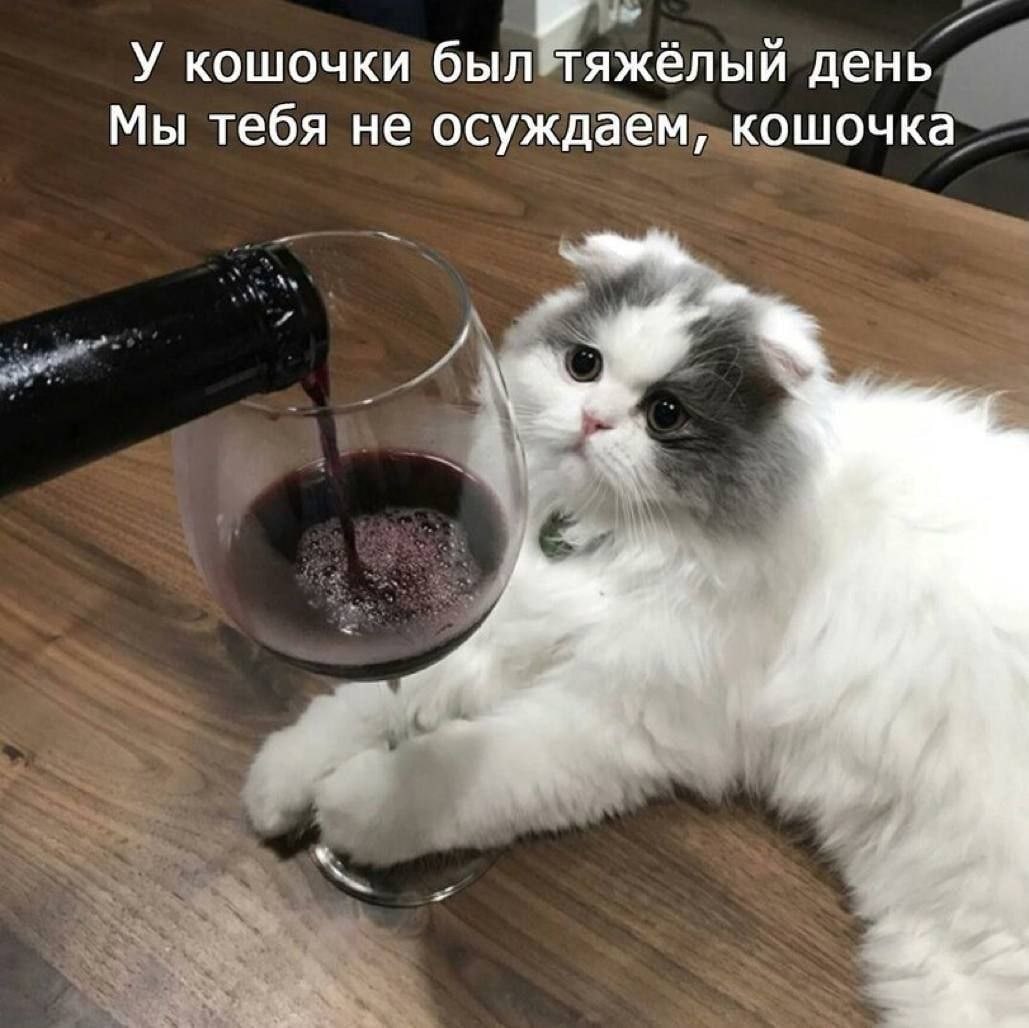 y_broken_heart_'s tweet photo. https://t.co/gbRD7IJMu7