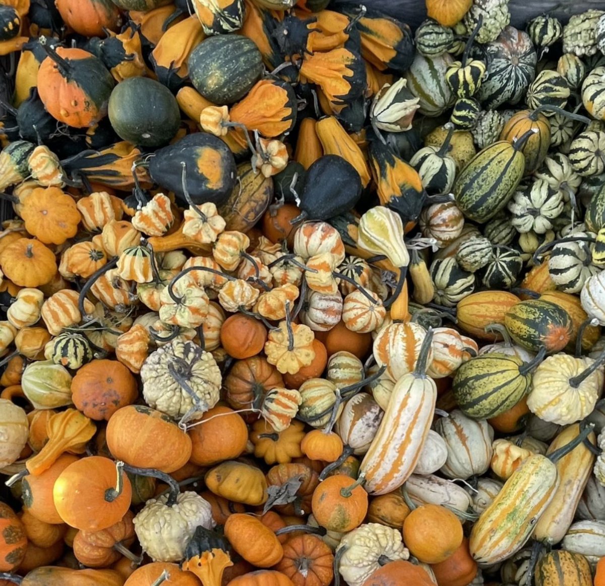 Huge Brands tweet media