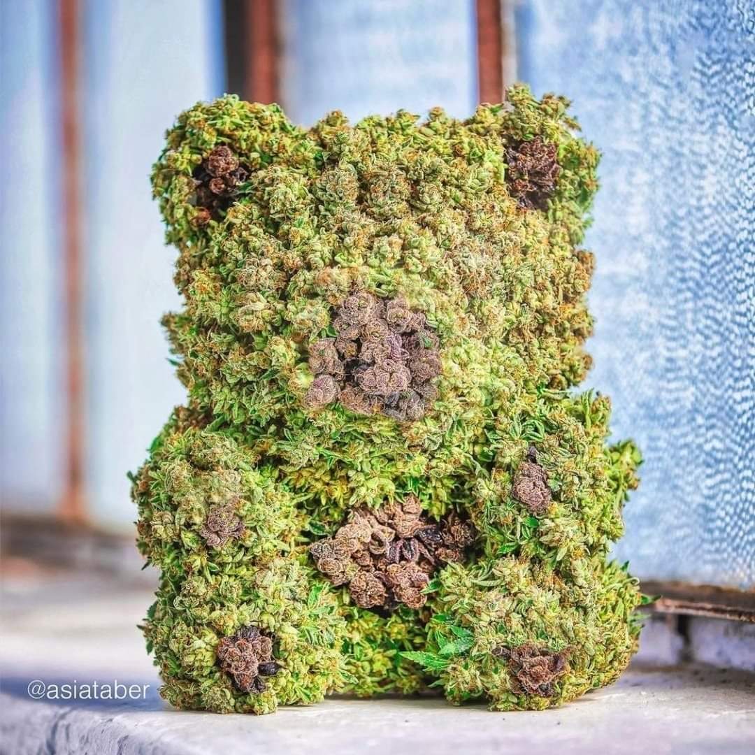 y0uholdthekey's tweet photo. Have a Beary Happy day friends ❤ https://t.co/LD9NXlRdjK