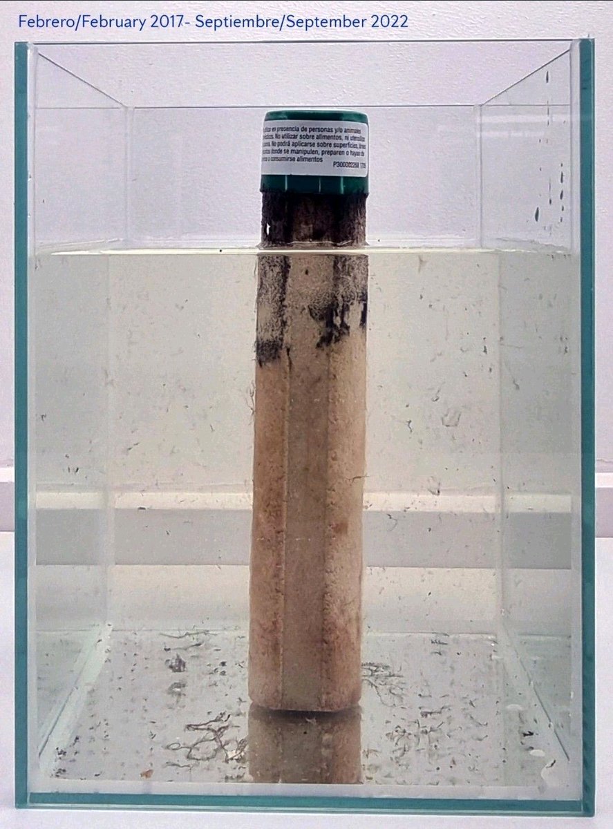 expertotermitas's tweet photo. ¿Qué significa HD (alta densidad)? Seguramente esta imagen lo explica sin necesidad de mucha explicación. 

Estado de una barra HD con #hexaflumurón después de 4 años y medio sumergida en agua.

#termitas #termites #echa #anticimex #nohaycolor https://t.co/cToyxjR5Fj
