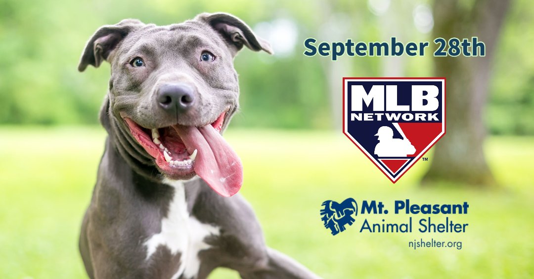 mt_animal's tweet photo. We are excited to be bringing some of our dogs to the @MLBNetwork tomorrow! You may even see some on future segments on TV. Stay tuned for more details. https://t.co/QZbWO1HMfR