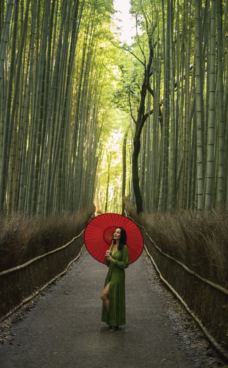 TRAVEL. Your money will return, your time won’t! Great news…Japan opens its doors back to tourists starting October 11! Who has Japan on their bucket list? ✈️🇯🇵

📍: Arashiyama Bamboo Grove🎋 
Kyoto, Japan