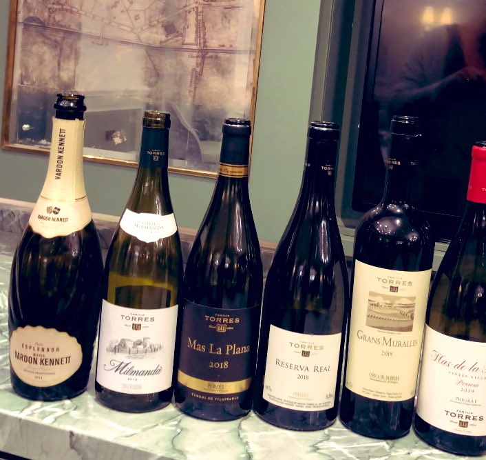 Wine_Allies's tweet photo. So fascinating to listen to Josep from @familiatorres present the Antología Miguel Torres wines today - the evolution of style to one of greater finesse and elegance is palpable and they reflect a great sense of place. Quality and passion with #Sustainability at its heart 👏 https://t.co/9pMPfjPj9O