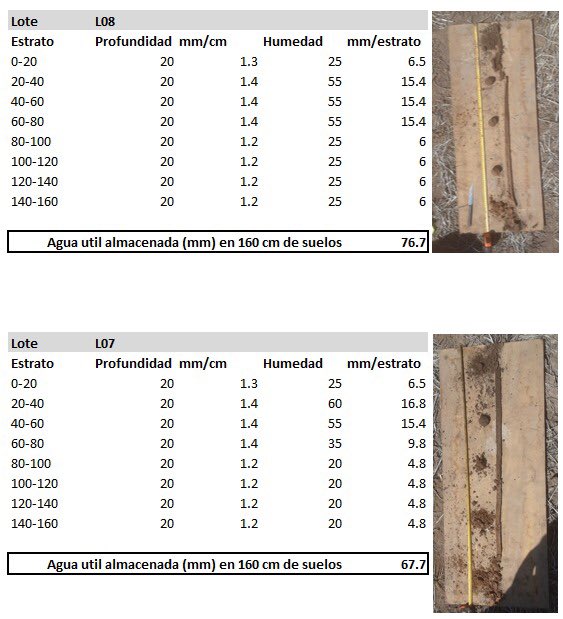 LopezdeSabando's tweet photo. Apoyando decisiones de estructura de cultivo en gruesa y nutrición en fina con datos de agua disponible, “el dato 2022”. #agriculturadeprecision #agroadaptativo @jmg_agro https://t.co/6h5eHGGw16