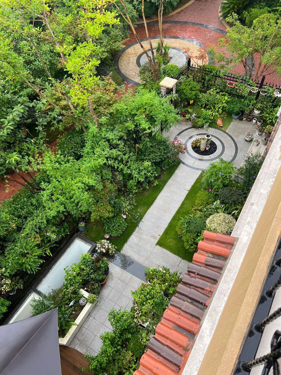 Beautiful morning🥰