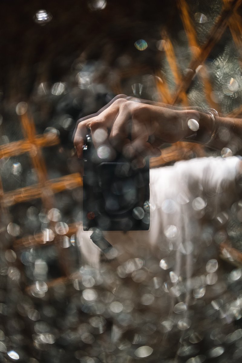 Lando Norris tweet media