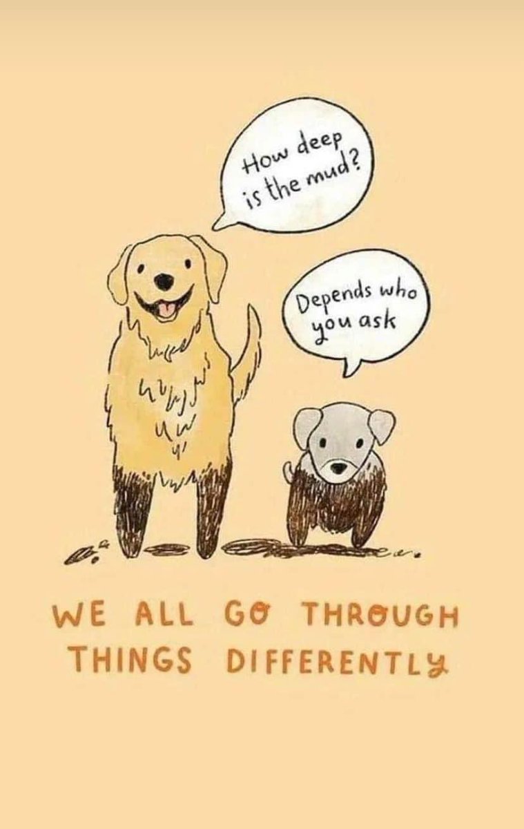 Stephanie Specht (@saspecht) on Twitter photo 