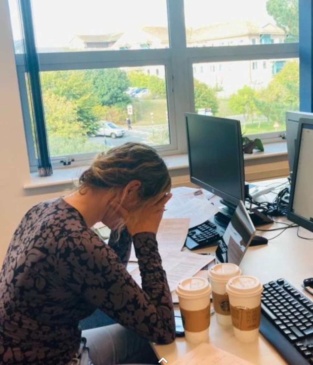 Rebekah Mikail tweet media