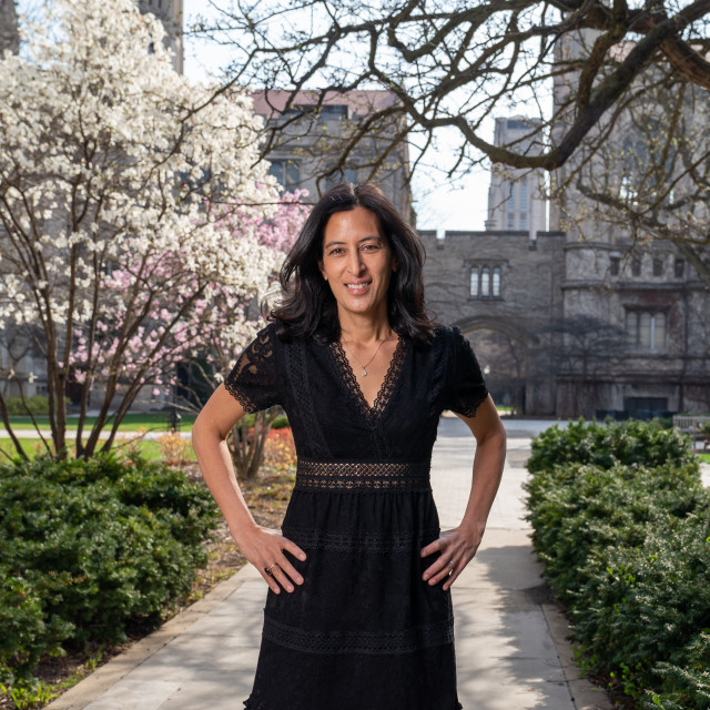 Hyde Park Jazz Fest tweet media