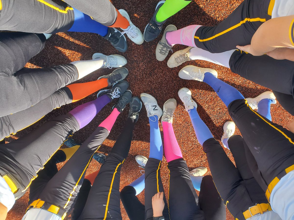 Festus Vars Softball tweet media