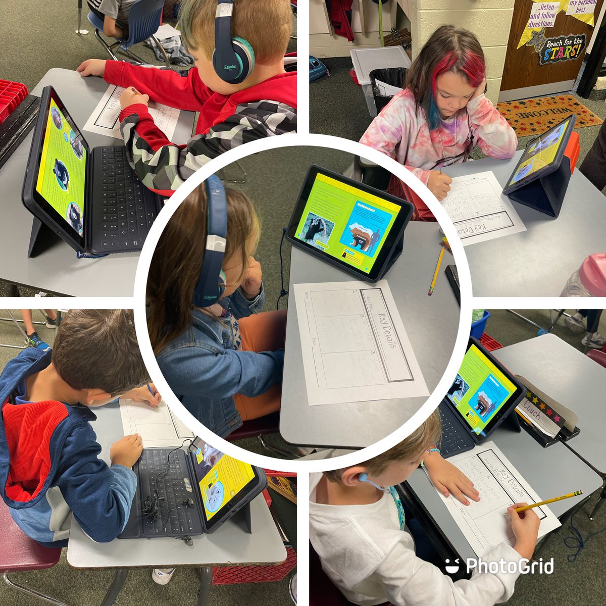 HollarsHarris2's tweet photo. Students shined bright while reading and finding key details in a National Geographic text about bears.  Proud of these 2nds!!! #gcscpride  #HarrisHappenings  #readingrocks https://t.co/gSDV5kC28H