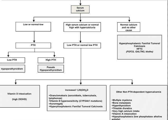 ISNeducation's tweet photo. 8/n #ECneph @iamnephrologist @myadla @ISNkidneycare  How to evaluate hyperphosphatemia based on serum calcium levels https://t.co/1RjEfDol0m