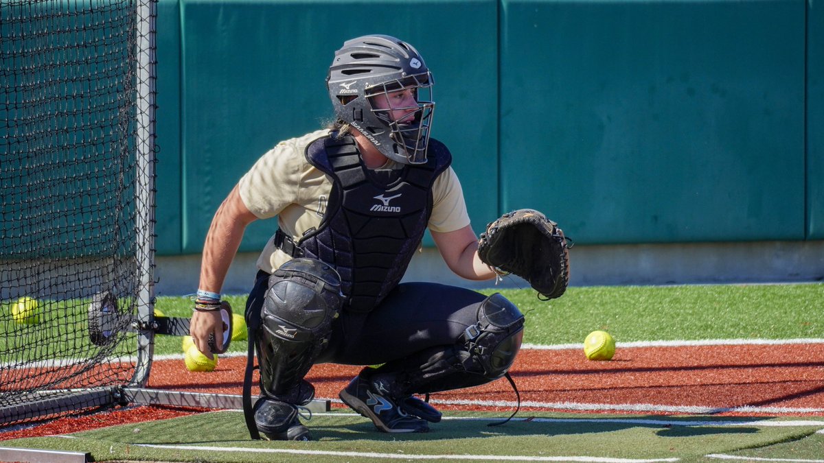 Anderson Softball tweet media