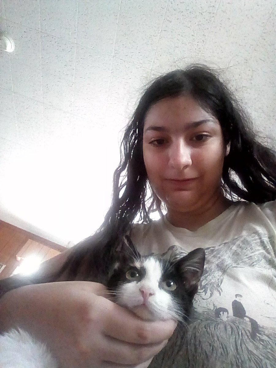 KirbyBisharp's tweet photo. Finally caught #Kencho today!! #ケンチョ #ネコ #kitten #cat #straycat #feralkitten #feralcat #calico #calicocat @makkinokusare2 https://t.co/0B7K1MCLsh