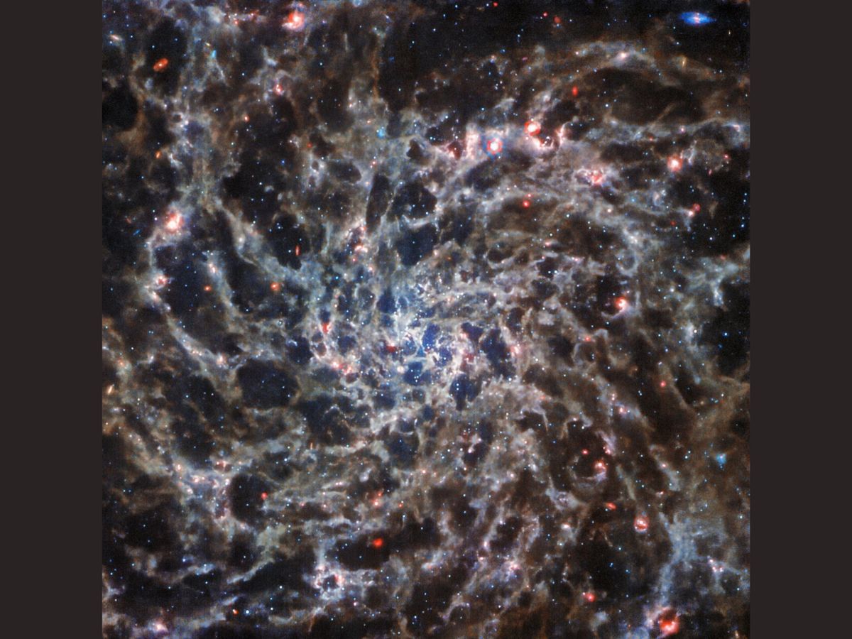 abplive's tweet photo. #JamesWebbSpaceTelescope Reveals 'Bones' Of #SpiralGalaxy In New Gothic Image
#NASA #NASAWebb #Webb #ESAWebb
Know everything here: https://t.co/BZUgpKzm3I https://t.co/tg8VqPNCns