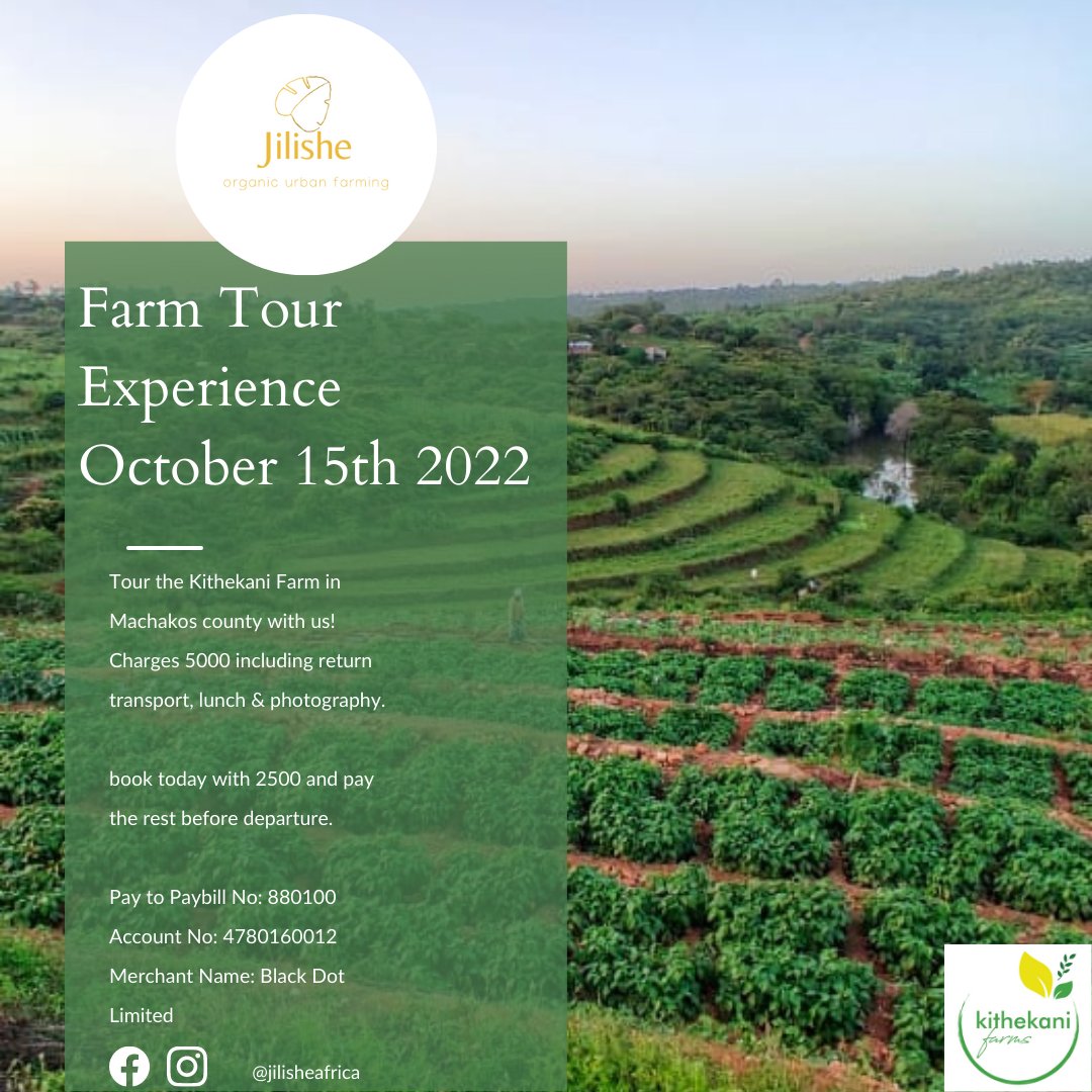 On October 15th Jilishe Africa in partnership with Kithekani Farms will be organizing a farm tour experience. Farm visits will be every month.
Charges are 5,000 Kes inclusive of return transport, photography, and lunch.
#jilisheafrica #farmlands #agricultureworldwide