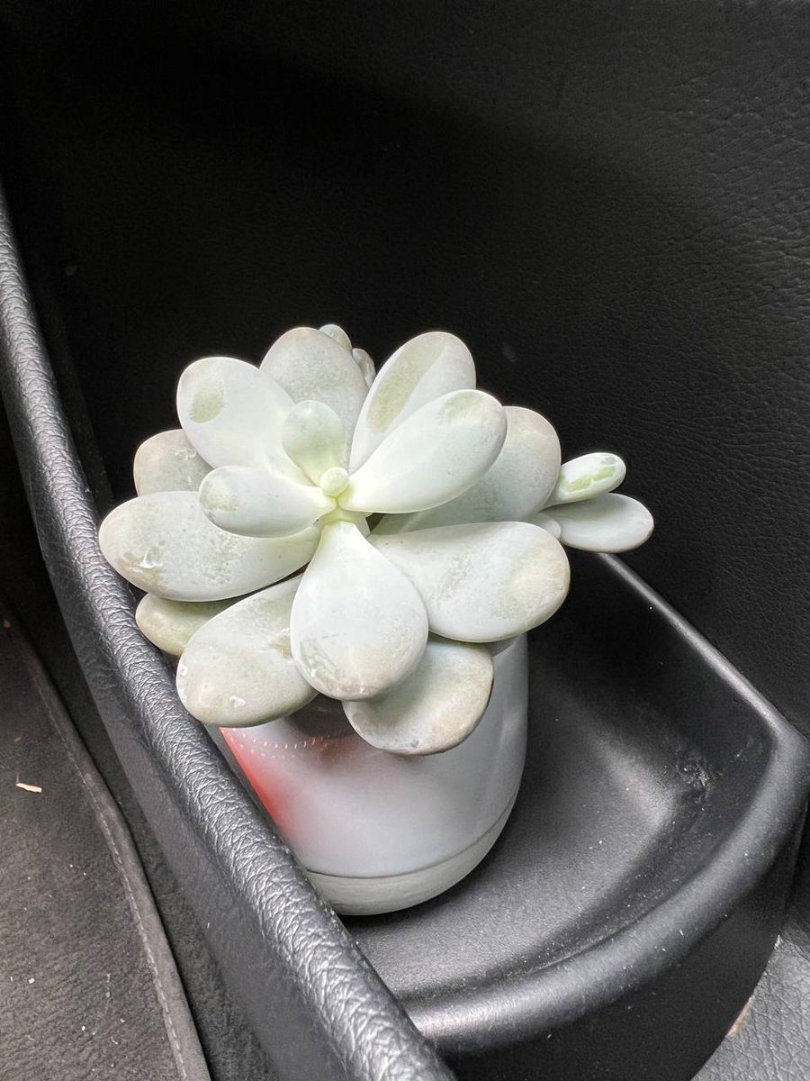 👾𝐋𝐚𝐮𝐫𝐞𝐥 𝐉𝐞𝐮𝐧𝐞👾 @laurelj_online - Twitter Profile | Sotwe