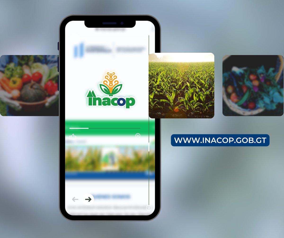 inacop_gt's tweet photo. ¡Queremos que conozcas más del INACOP!
Es por eso que te presentamos nuestra misión y visión institucional.

#INACOP #cooperativas #Guatemala https://t.co/dsxOHQgX5X