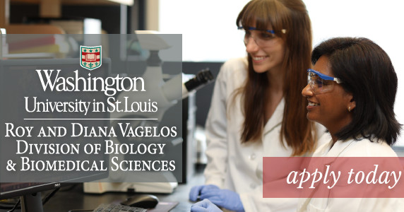 WashU DBBS tweet media