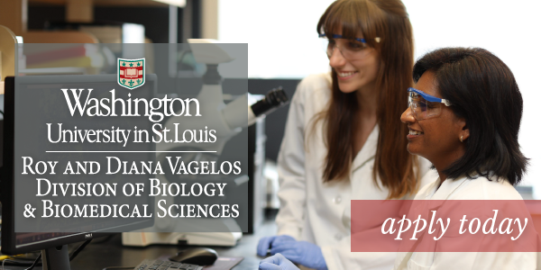 WashU DBBS tweet media