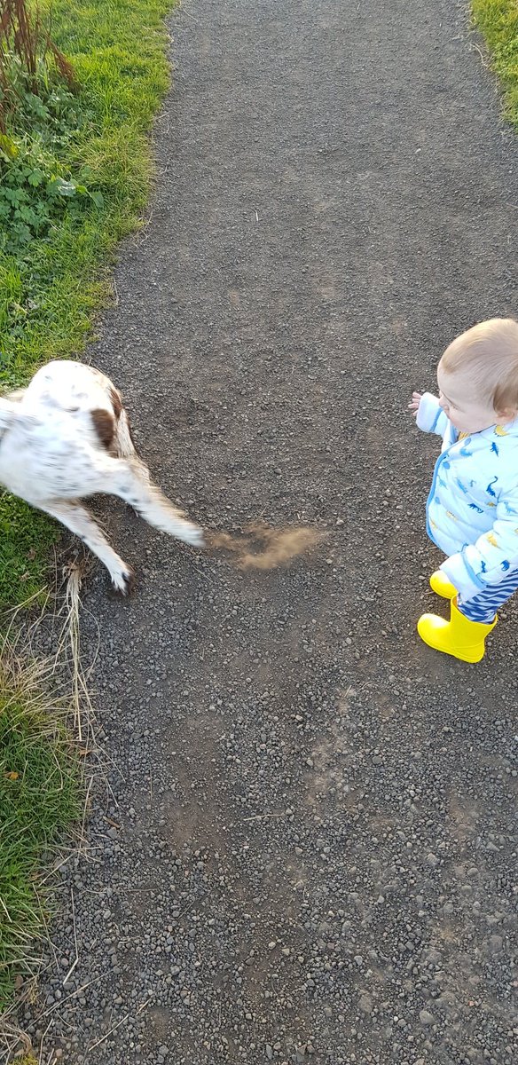 Too slow!