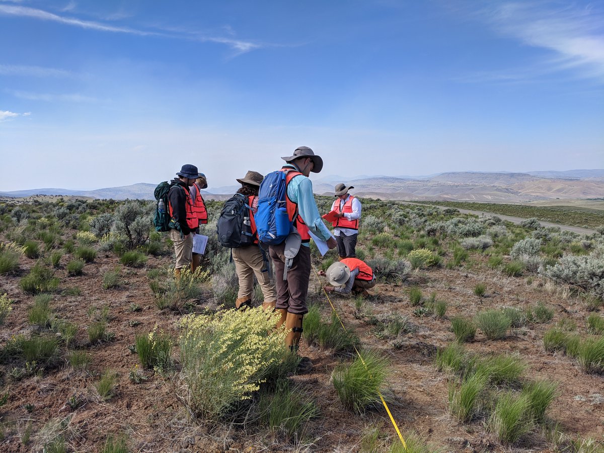 The Northern Great Basin Resilience project is hiring a lead technician! 1-year, full-time w/ benefits at @uoregon, starting this winter. Work with me and @lmhallett to design and lead fieldwork in the beautiful Northern Great Basin hallettlab.netlify.app/joinus/