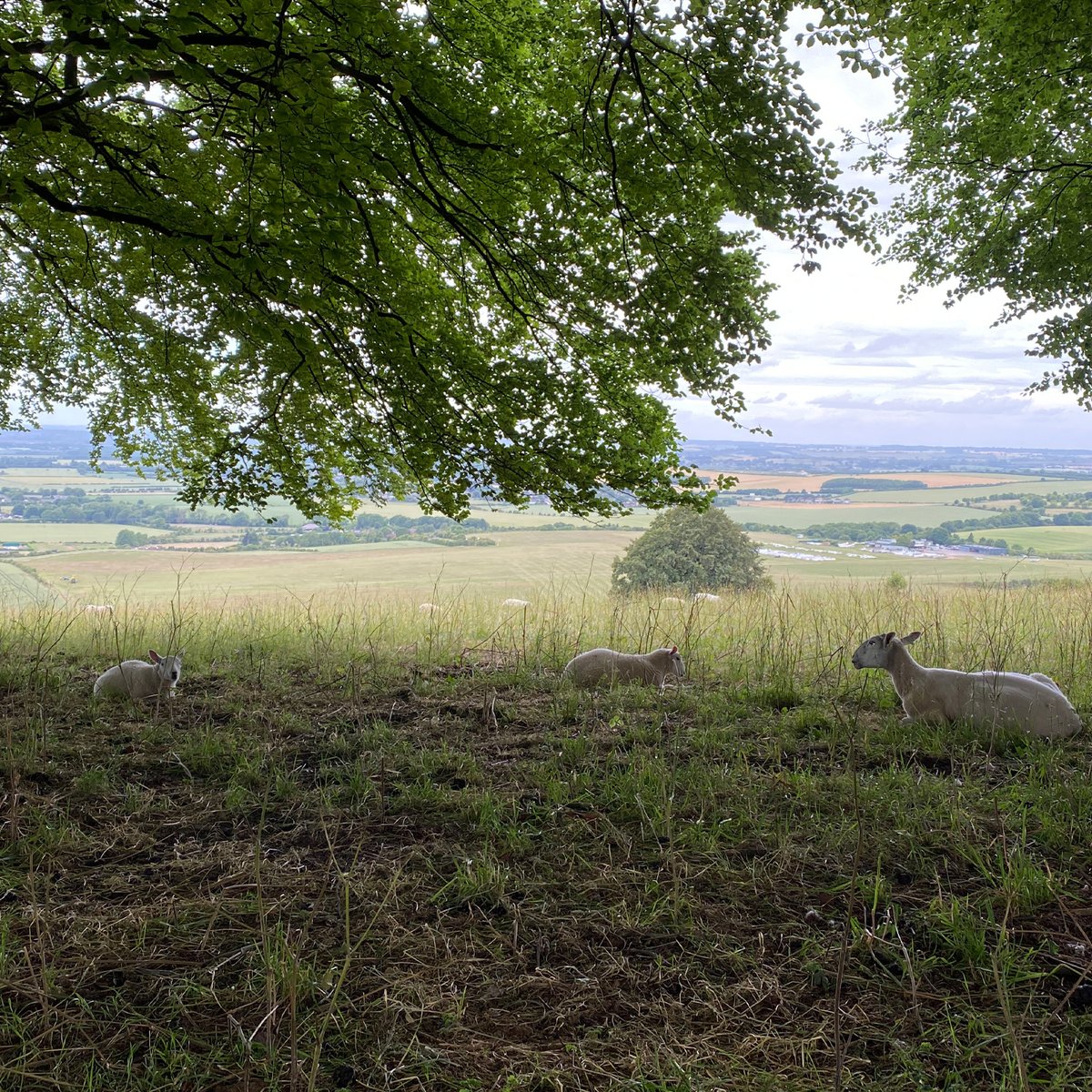 Central Bedfordshire Council on Twitter "We’re creating a series of