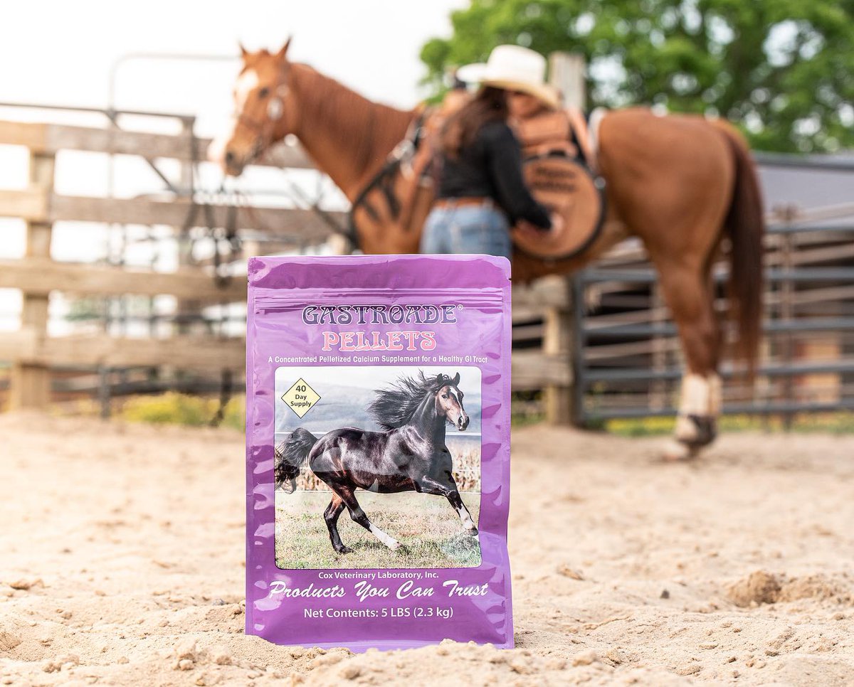 BigDeeTack's tweet image. Gastroade by Cox Veterinary Lab is a new approach to dealing with equine gastric distress. bit.ly/3fp8jWl🐎
#bigdeestack #coxvetlab #gastroade #gutsupplement #guthealth #horsehealth