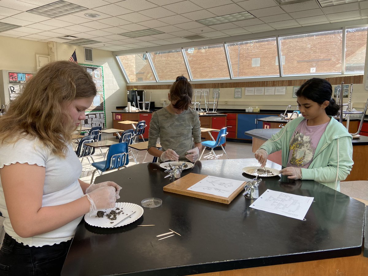 Rebecca Swander tweet media