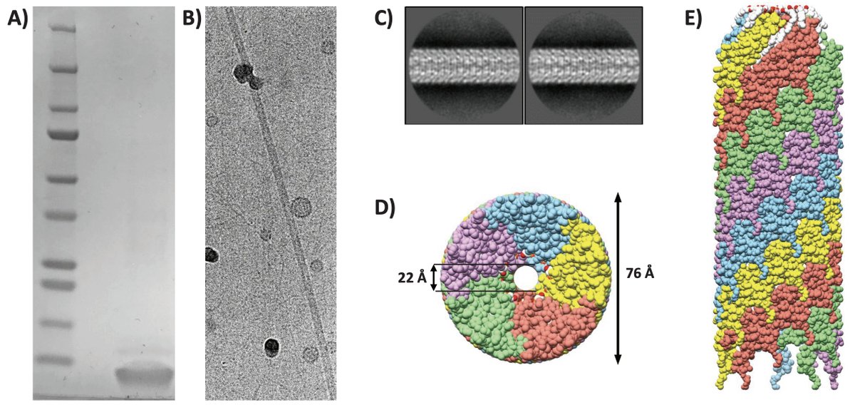 Jensen Lab tweet media