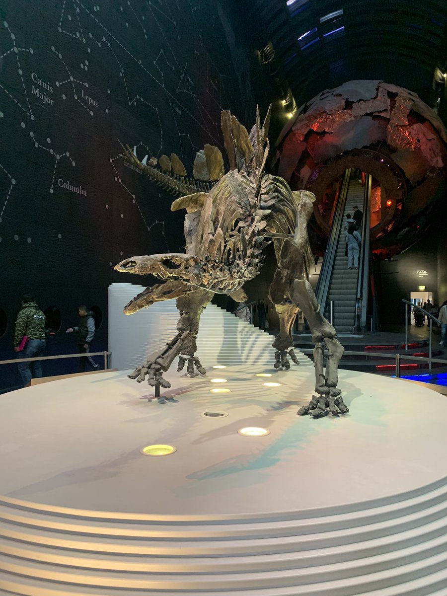 FrancesJones02's tweet photo. Natural History Museum, London. https://t.co/DstZF3cc7d