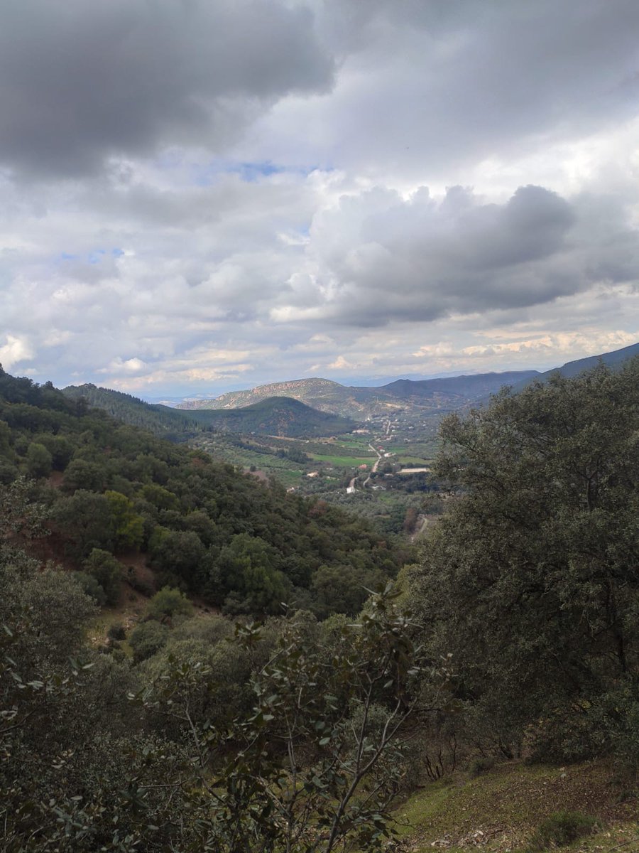 AdilChatouan's tweet image. #fypy@AdilChatouan