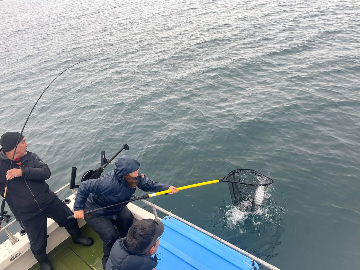 theGMRC's tweet photo. The GMRC Director of Research is working on what she refers to as an “opportunity of a lifetime.” Dr. Carole-Anne Gillis is tagging Atlantic salmon in Qaqortoq, Greendland. To find out more, please visit https://t.co/K3RFr6S1yE https://t.co/F0MqVfR6Sg