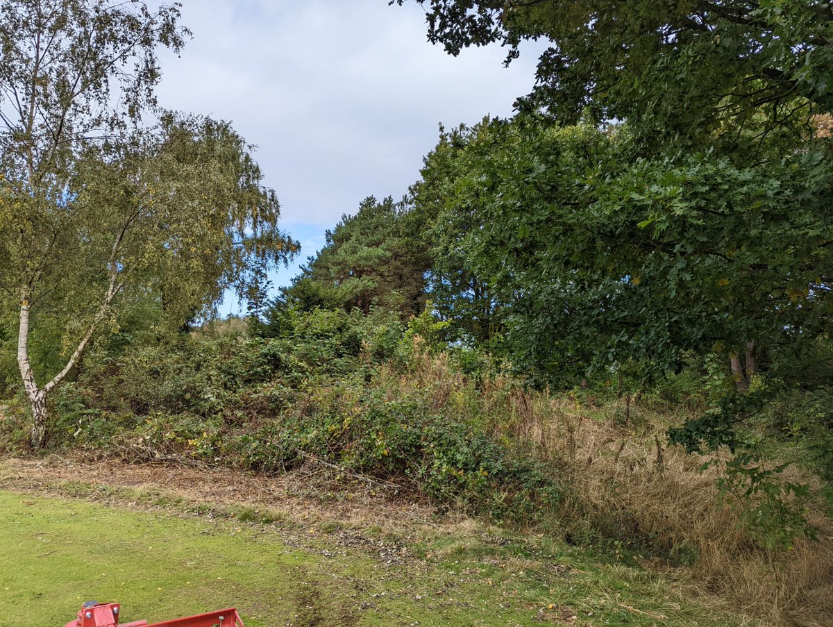 phelper1's tweet photo. What a great bit of kit! @bigmowerman @inker14 @Filtongolfclub
#ventrac https://t.co/66Br3myvJc