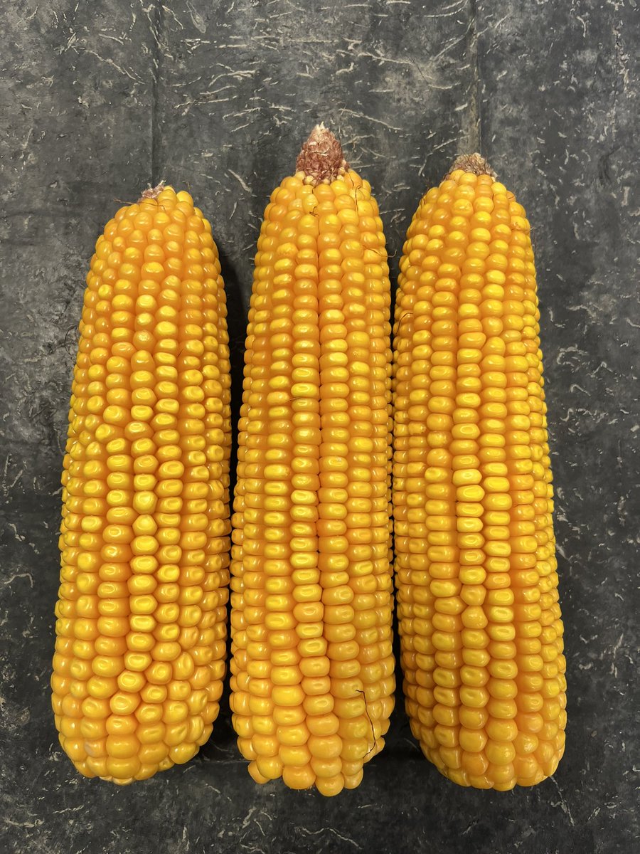 Kenny Richardson tweet media