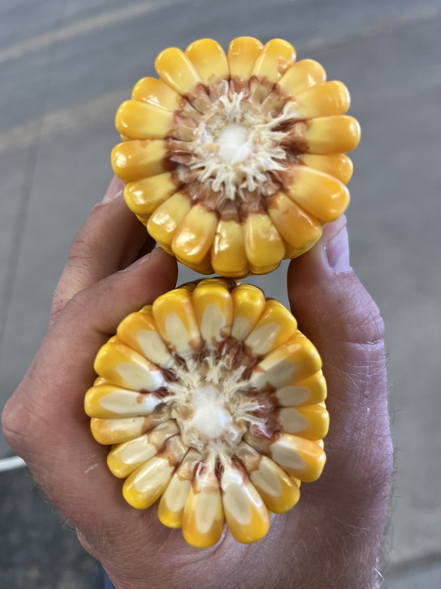 Kenny Richardson tweet media