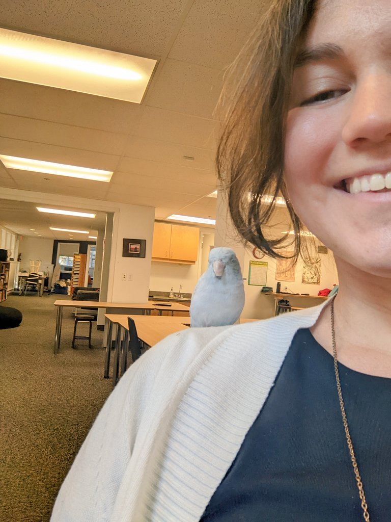 visii_school's tweet photo. Avian assistant teacher Pisco is in the classroom today! https://t.co/Dy2AFlwqti