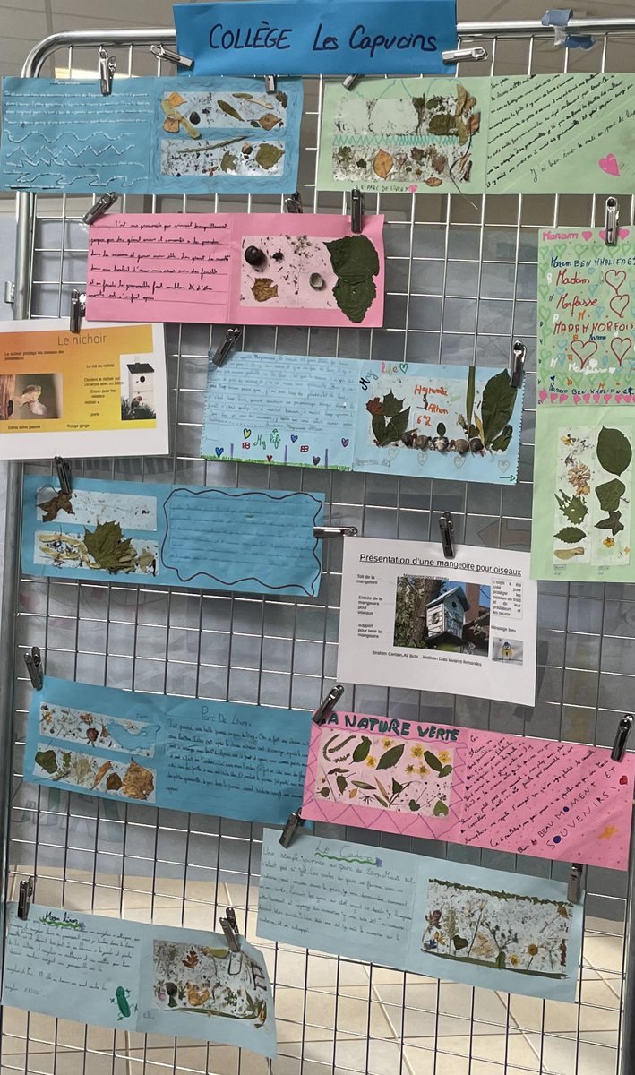 FlorenceGilat's tweet photo. Première cérémonie de remise des labels E3D au sein de la cité éducative de Melun / Le Mée sur Seine. Une belle dynamique collective portée par les élèves et les enseignants ! #edd ⁦@AcCreteil⁩ ⁦@pons_sophie⁩ @dsden77 https://t.co/h3QJ8qxtND