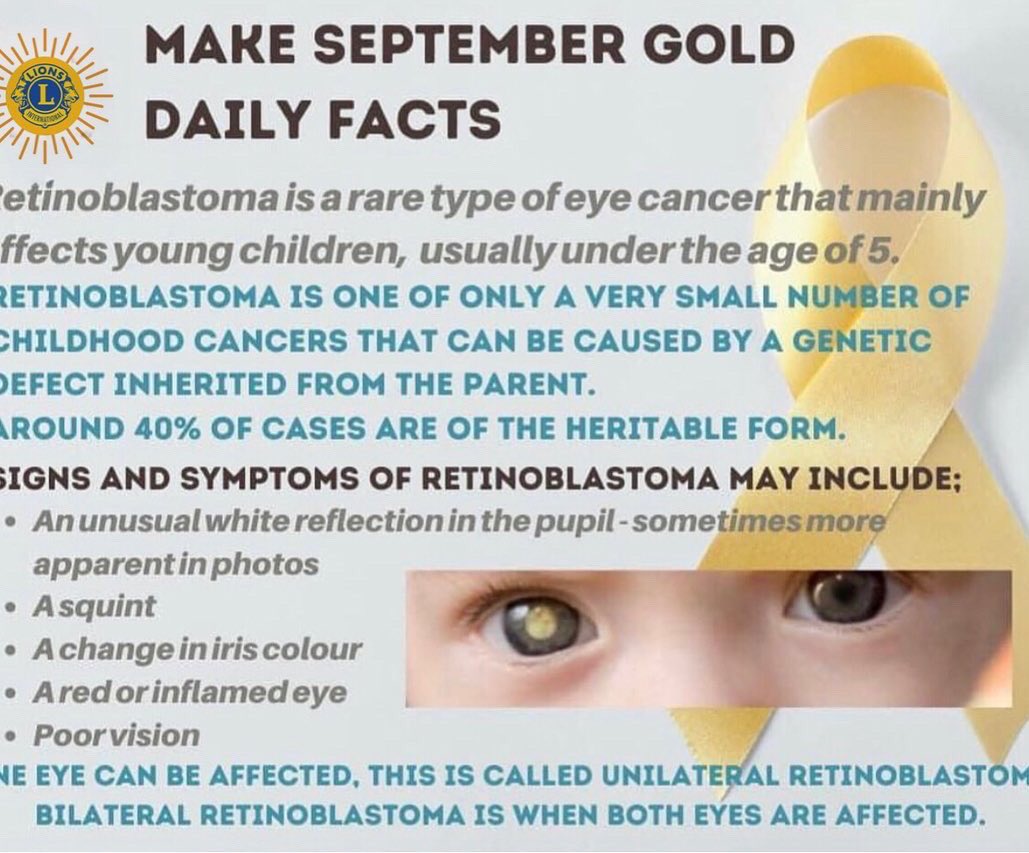 DowntownKgnLC's tweet photo. #makeseptembergold #ChildhoodCancerAwarenessMonth #ChildhoodCancer #gobold #gogold #DTKLions #weserve https://t.co/bhHxW6Wf2r