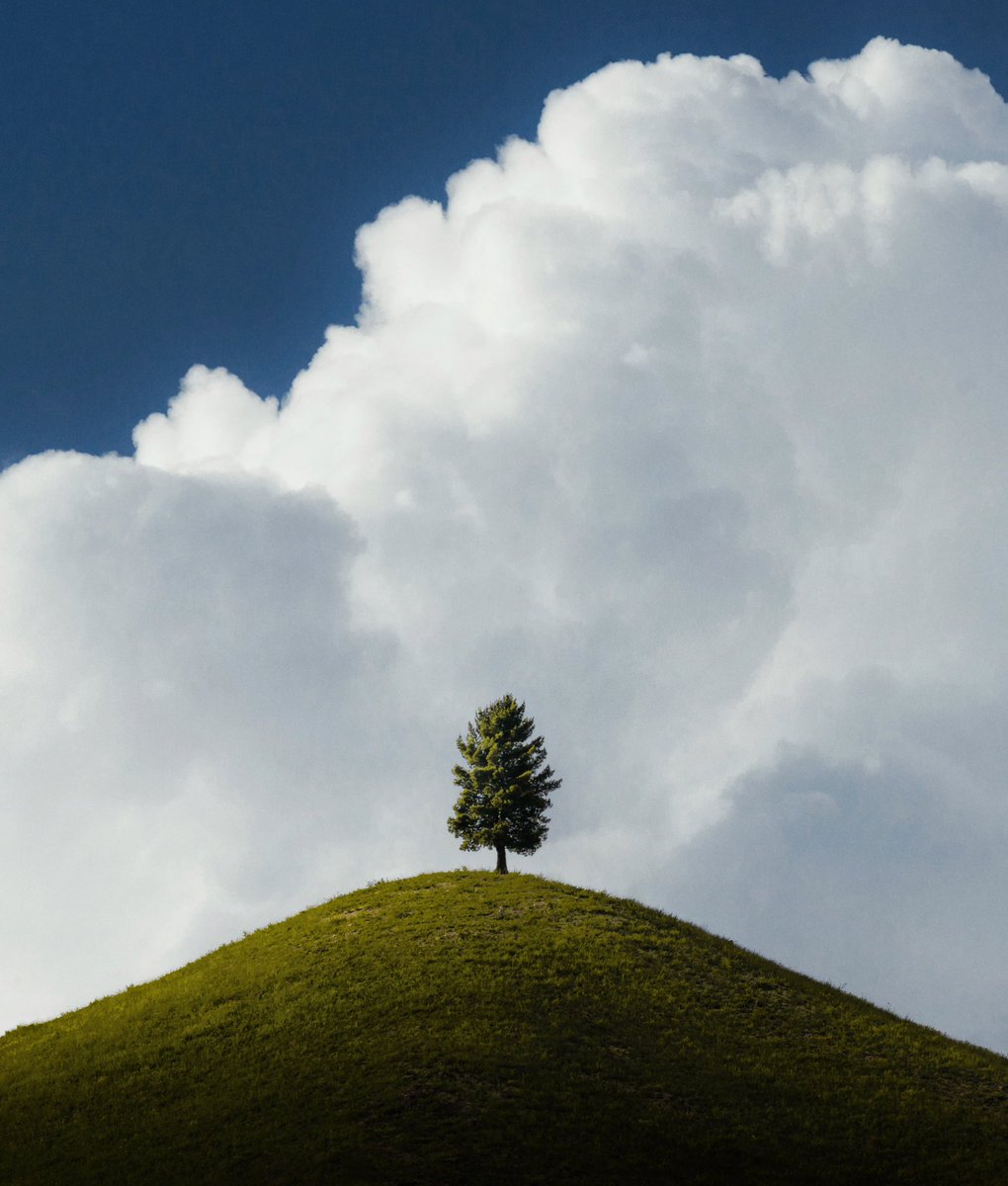 Khumais Idrees tweet media