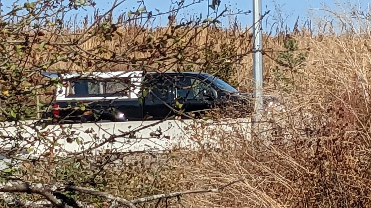 lada_bigguy's tweet photo. A guy with a chainsaw cutting wood at Cuthbert Holmes and taking it home for his own enjoyment. @SaanichPolice @saanich @SaanichParksRec https://t.co/ih1UfitmUB