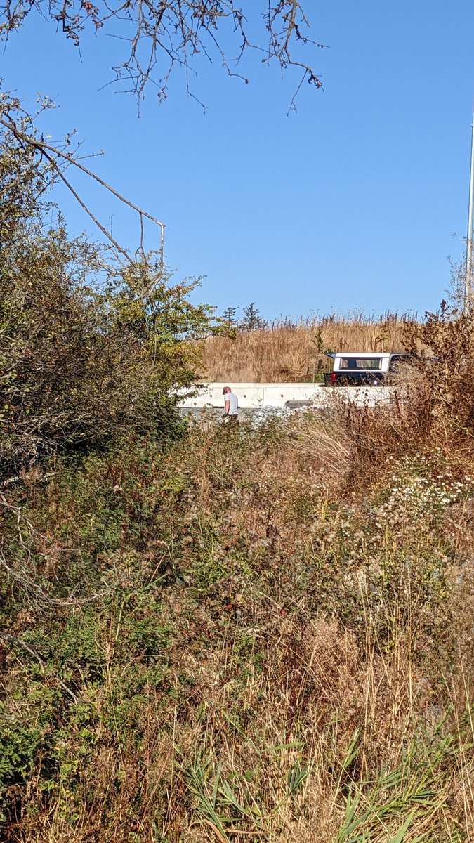 lada_bigguy's tweet photo. A guy with a chainsaw cutting wood at Cuthbert Holmes and taking it home for his own enjoyment. @SaanichPolice @saanich @SaanichParksRec https://t.co/ih1UfitmUB