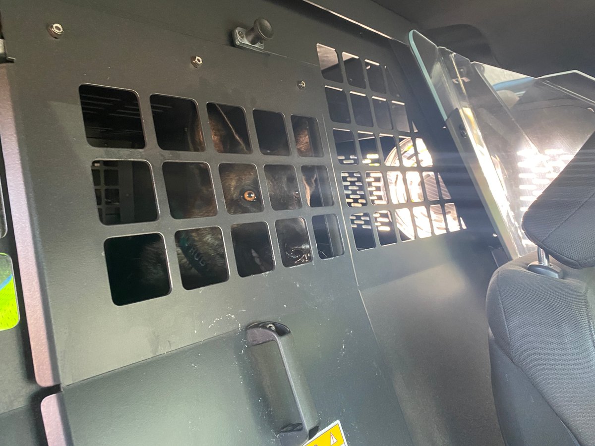 BlueAshPD's tweet photo. #RubysTuesday Making the hearts of drug carriers skip a beat for almost 3 years.
#Policek9 #girlpower #shallowcreekkennels https://t.co/9KKo3sEDs1