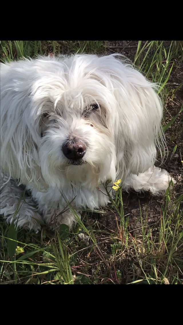 clo23 🇫🇷 tweet media