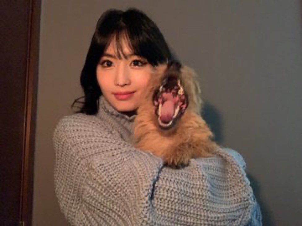 ItsAleo18's tweet photo. My cat whenever i pick him up https://t.co/TstKvwONZo